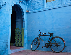 Hunt for The Blue Houses